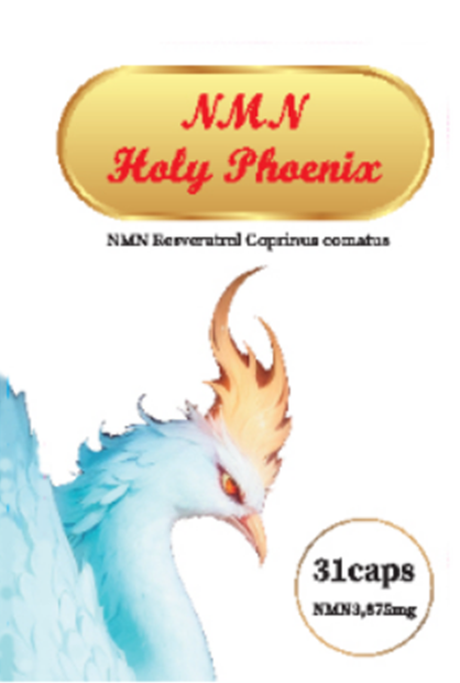 NMN holy phoenix（聖なる不死鳥）